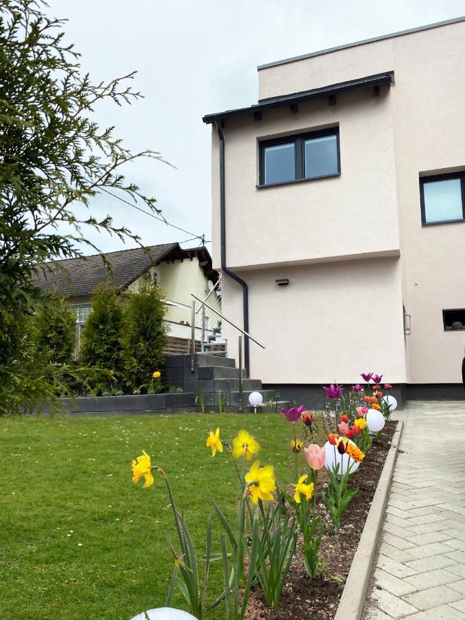 Sonnenlay Lounge - Studio & Ferienhaus Brauneberg Buitenkant foto